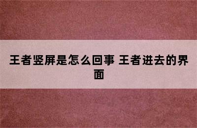 王者竖屏是怎么回事 王者进去的界面